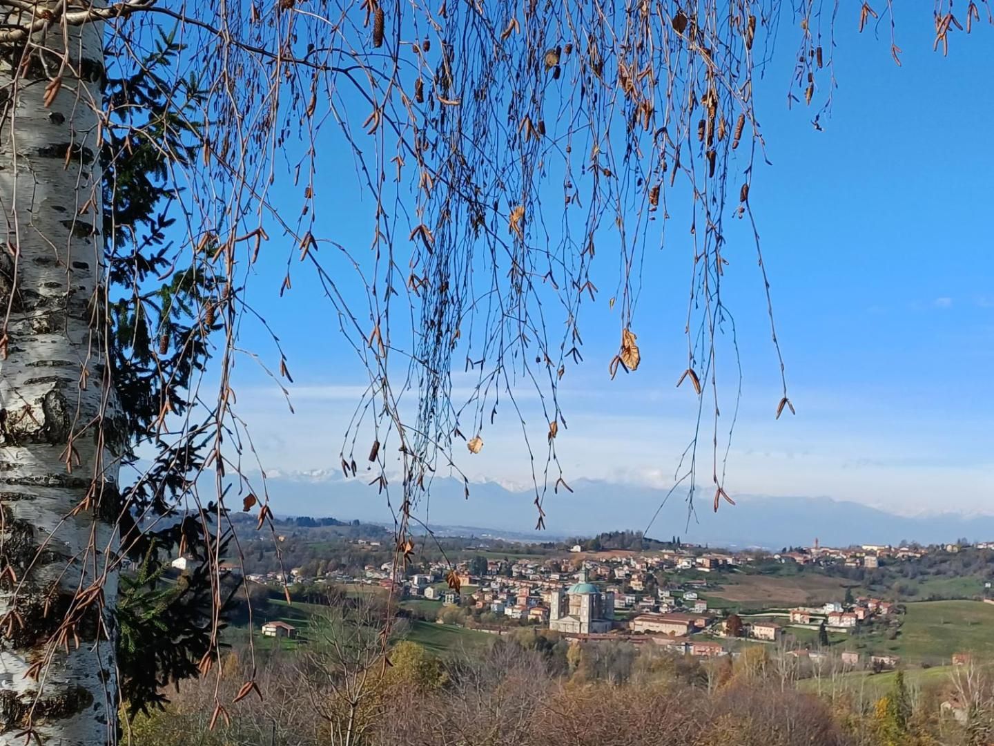 Il Santuario di Vicoforte