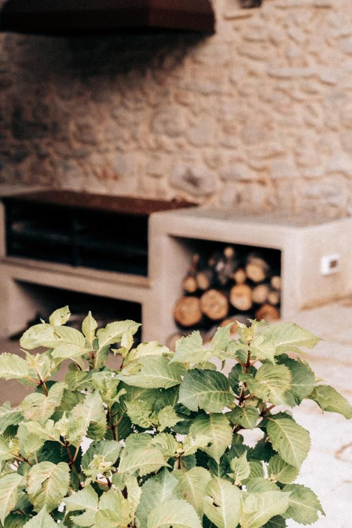 Sapori di Piemonte