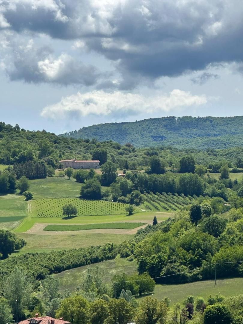 Le Langhe e il Roero
